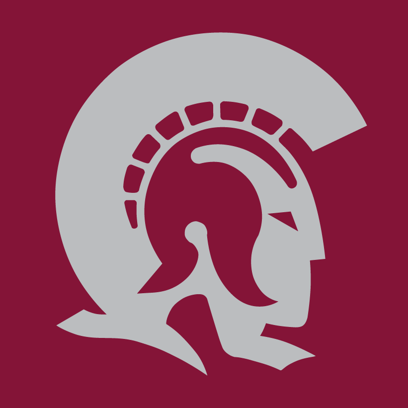 Arkansas-Little Rock Trojans 1997-Pres Alternate Logo v4 diy iron on heat transfer